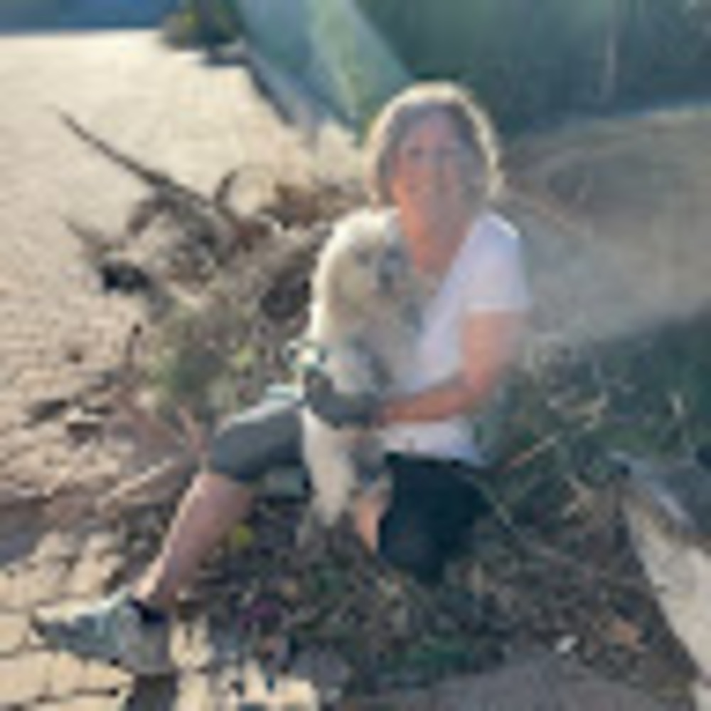 Meet your Posher, Linda